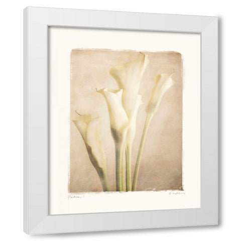 Poetica I White Modern Wood Framed Art Print by Melious, Amy