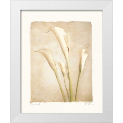 Poetica II White Modern Wood Framed Art Print by Melious, Amy