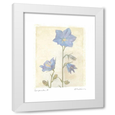 Campanula II White Modern Wood Framed Art Print by Melious, Amy