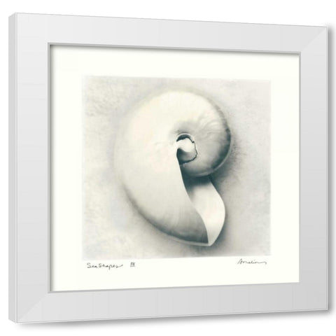 Sea Shapes III White Modern Wood Framed Art Print by Melious, Amy