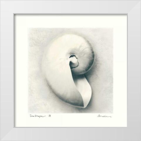 Sea Shapes III White Modern Wood Framed Art Print by Melious, Amy