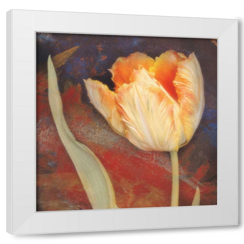 Dusk Tulip II White Modern Wood Framed Art Print by Melious, Amy