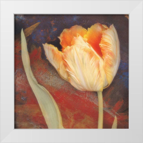 Dusk Tulip II White Modern Wood Framed Art Print by Melious, Amy