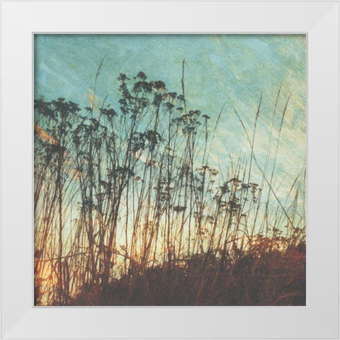 Wild Grass I White Modern Wood Framed Art Print by Melious, Amy