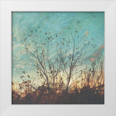 Wild Grass II White Modern Wood Framed Art Print by Melious, Amy