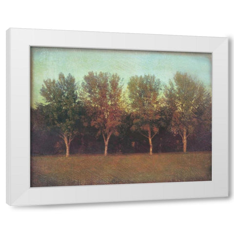 Natures Bliss I White Modern Wood Framed Art Print by Melious, Amy