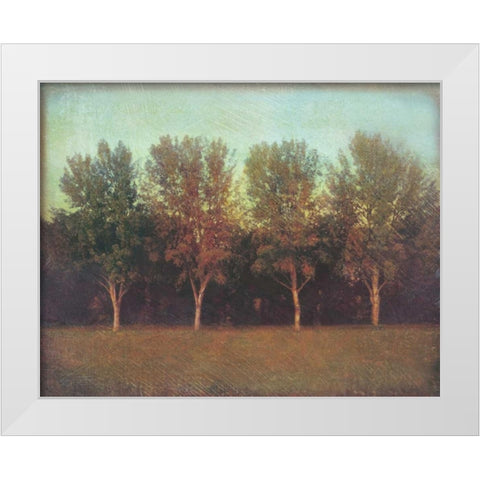 Natures Bliss I White Modern Wood Framed Art Print by Melious, Amy