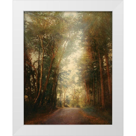 Road of Mysteries II White Modern Wood Framed Art Print by Melious, Amy