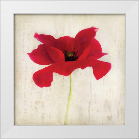 Red I White Modern Wood Framed Art Print by Melious, Amy