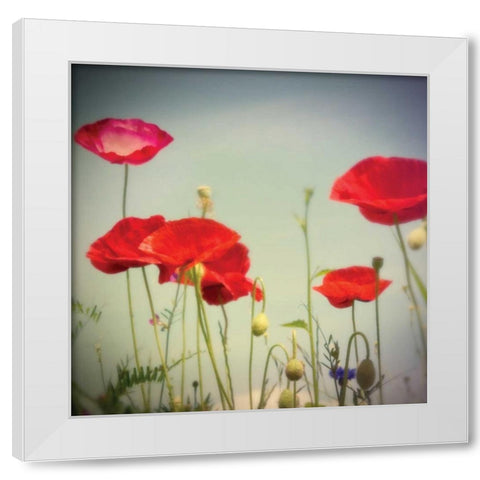 Bloom I White Modern Wood Framed Art Print by Melious, Amy