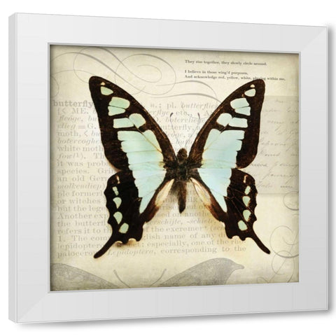 Butterflies Script I White Modern Wood Framed Art Print by Melious, Amy