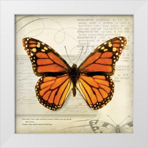 Butterflies Script II White Modern Wood Framed Art Print by Melious, Amy