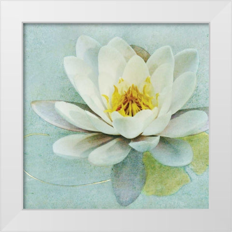 Magnolia Sq. White Modern Wood Framed Art Print by Melious, Amy