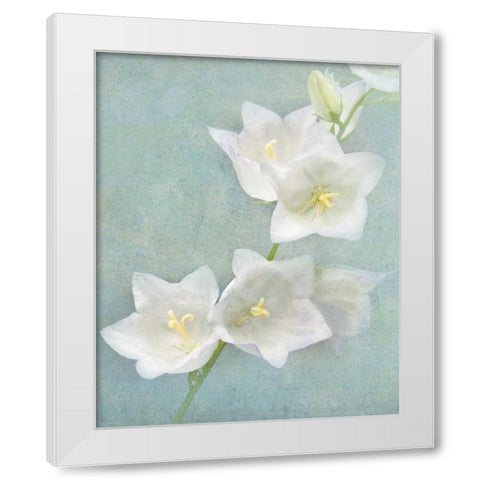 Aqua Floral IV White Modern Wood Framed Art Print by Melious, Amy