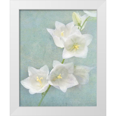 Aqua Floral IV White Modern Wood Framed Art Print by Melious, Amy