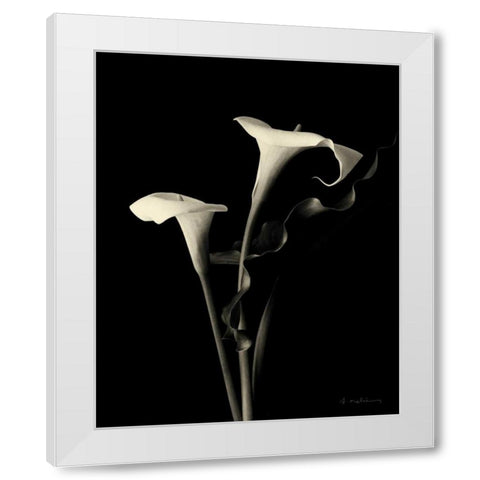 Botanical Elegance Calla III White Modern Wood Framed Art Print by Melious, Amy