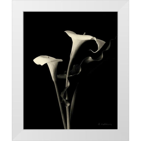 Botanical Elegance Calla III White Modern Wood Framed Art Print by Melious, Amy