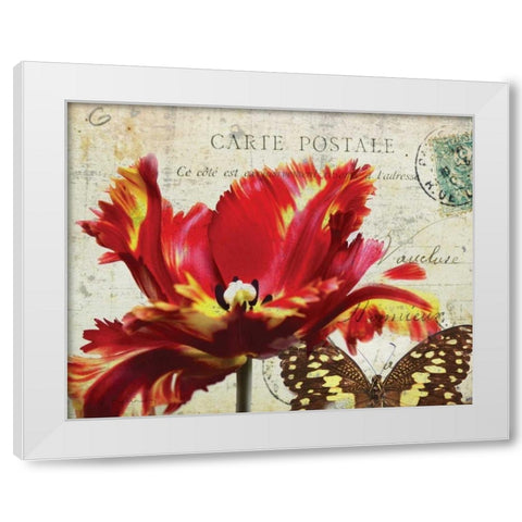 Carte Postale Tulip I White Modern Wood Framed Art Print by Melious, Amy