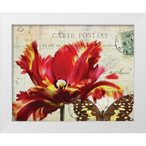 Carte Postale Tulip I White Modern Wood Framed Art Print by Melious, Amy