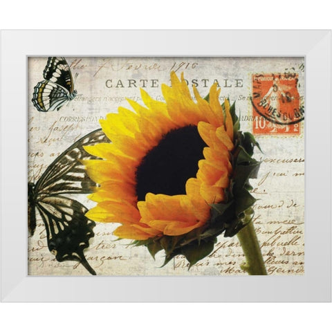 Carte Postale Sunflower White Modern Wood Framed Art Print by Melious, Amy