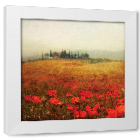 Tuscan Poppies White Modern Wood Framed Art Print by Melious, Amy