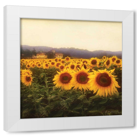 Tuscan Sunflowers White Modern Wood Framed Art Print by Melious, Amy