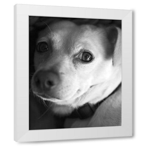 Second Glance Black and White White Modern Wood Framed Art Print by Millet, Karyn