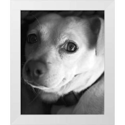 Second Glance Black and White White Modern Wood Framed Art Print by Millet, Karyn