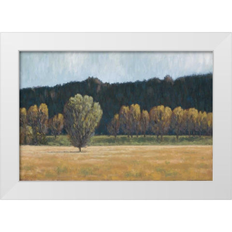 Cottonwood Country I White Modern Wood Framed Art Print by Macnab, John