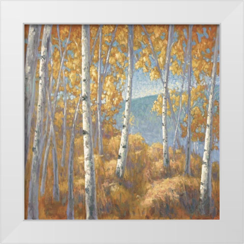 Fall Aspen I White Modern Wood Framed Art Print by Macnab, John