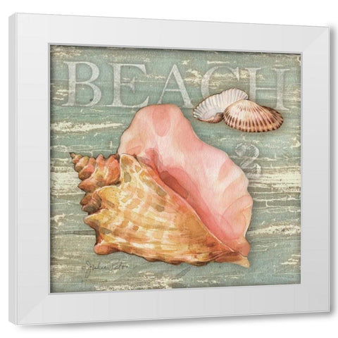 Beach Shells Conch White Modern Wood Framed Art Print by Paton, Julie
