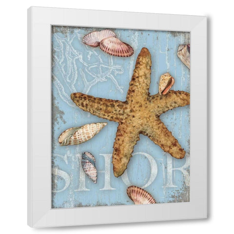 Beach Shells Shore White Modern Wood Framed Art Print by Paton, Julie
