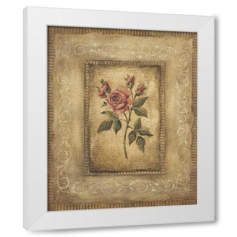 Grand Savin Rose White Modern Wood Framed Art Print by Poloson, Kimberly