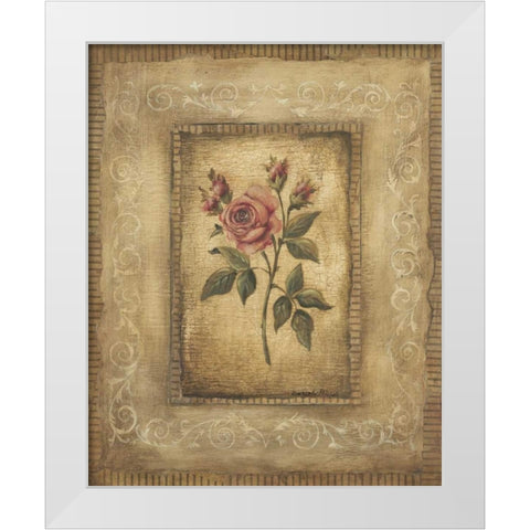 Grand Savin Rose White Modern Wood Framed Art Print by Poloson, Kimberly