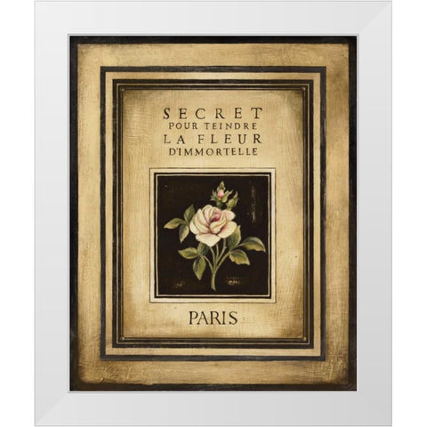 Les Fleurs de Paris I White Modern Wood Framed Art Print by Poloson, Kimberly