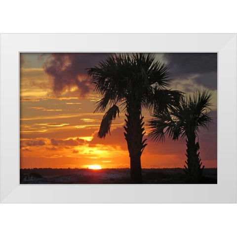 Sunset Palms II White Modern Wood Framed Art Print by Williams, Alex