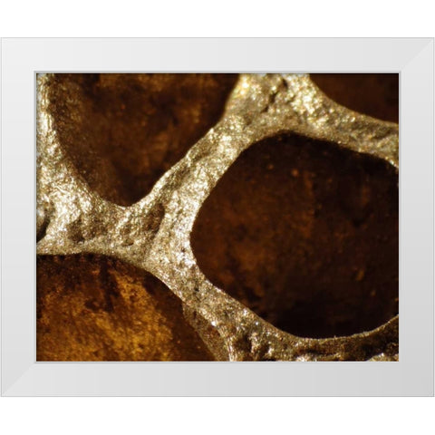 Lotus Pods III White Modern Wood Framed Art Print by Burkhart, Monika