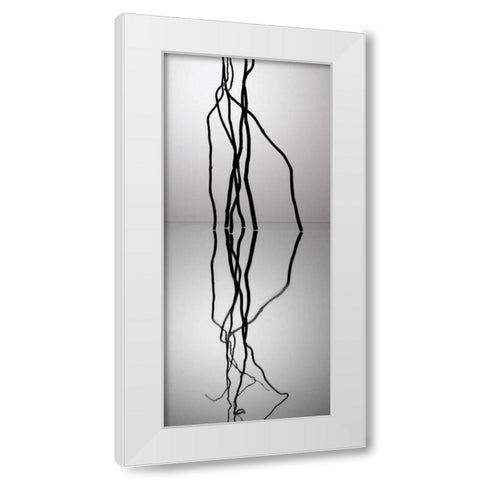 Natures Reflections II White Modern Wood Framed Art Print by Burkhart, Monika
