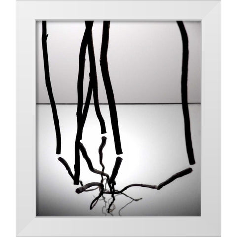 Natures Reflections III White Modern Wood Framed Art Print by Burkhart, Monika