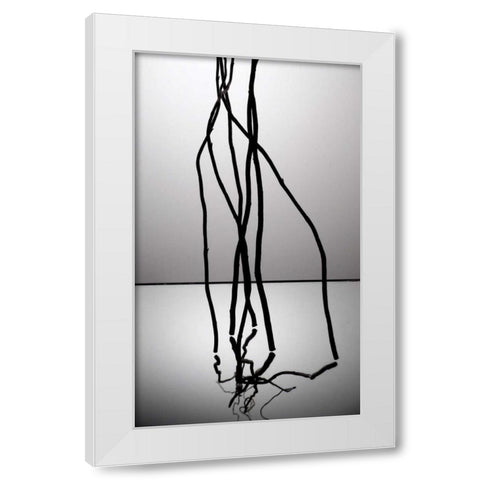 Natures Reflections IV White Modern Wood Framed Art Print by Burkhart, Monika