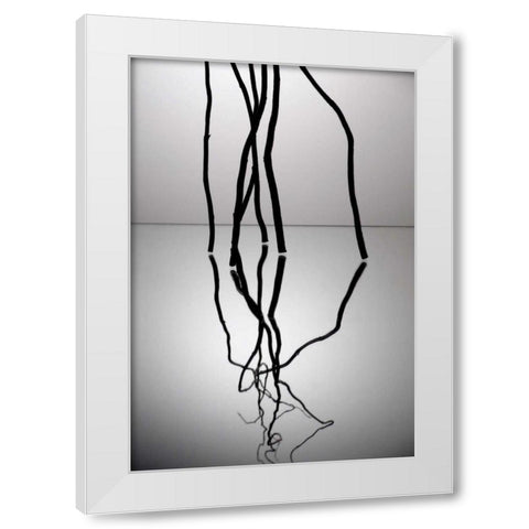 Natures Reflections V White Modern Wood Framed Art Print by Burkhart, Monika