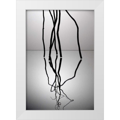 Natures Reflections V White Modern Wood Framed Art Print by Burkhart, Monika
