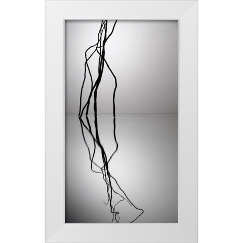 Natures Reflections VI White Modern Wood Framed Art Print by Burkhart, Monika