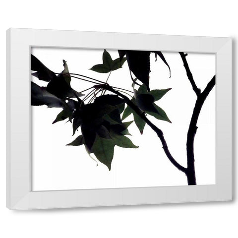 Maple Branch I White Modern Wood Framed Art Print by Burkhart, Monika