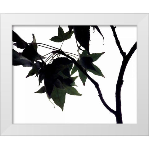 Maple Branch I White Modern Wood Framed Art Print by Burkhart, Monika