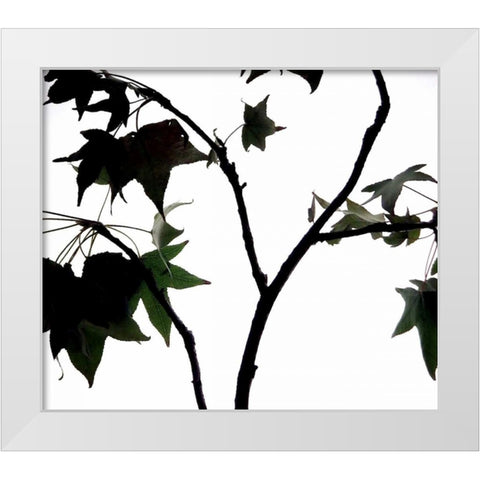 Maple Branch II White Modern Wood Framed Art Print by Burkhart, Monika