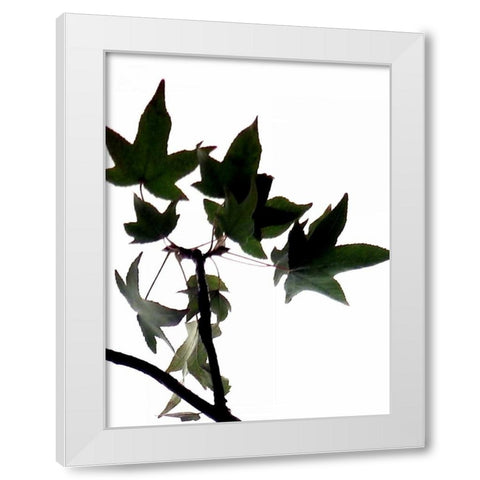 Maple Branch III White Modern Wood Framed Art Print by Burkhart, Monika