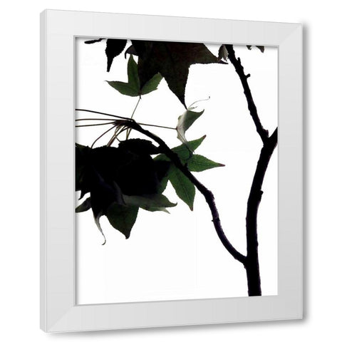 Maple Branch IV White Modern Wood Framed Art Print by Burkhart, Monika
