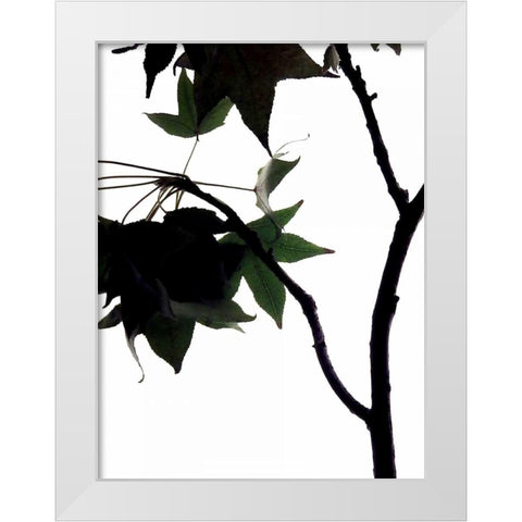 Maple Branch IV White Modern Wood Framed Art Print by Burkhart, Monika