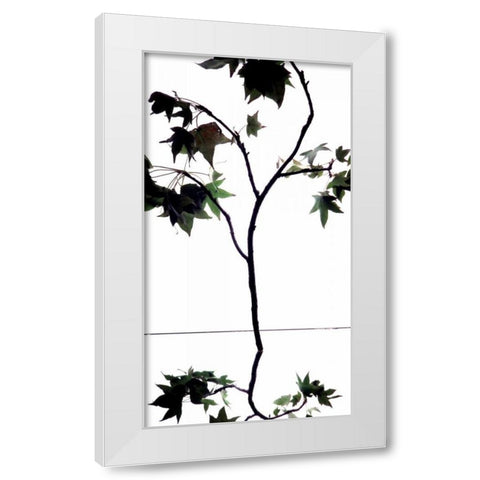 Maple Branch V White Modern Wood Framed Art Print by Burkhart, Monika